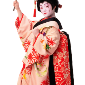 Kimono PNG