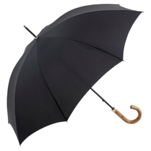 Umbrella PNG image