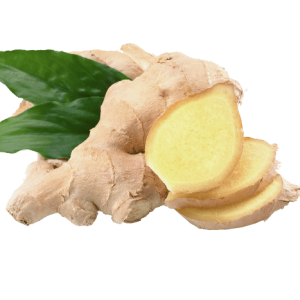 Ginger PNG