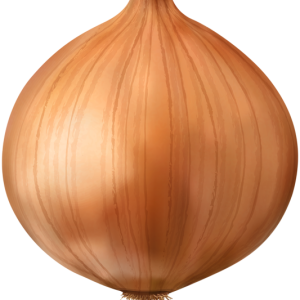 Onion PNG
