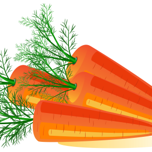 Carrot PNG image