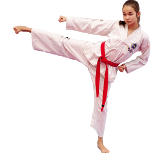 Taekwondo PNG