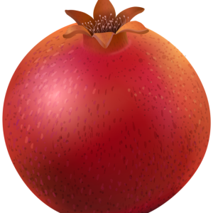 Pomegranate PNG