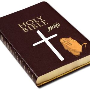 Bible PNG