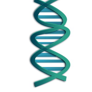 DNA PNG