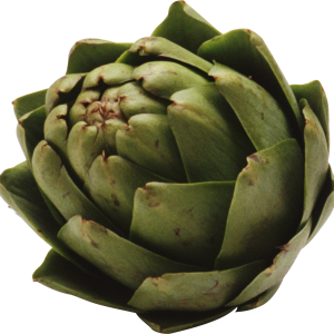Artichoke PNG