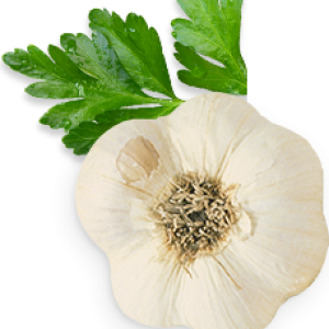 Garlic PNG