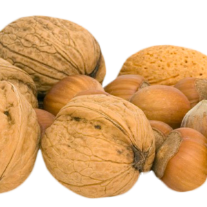 Walnut PNG
