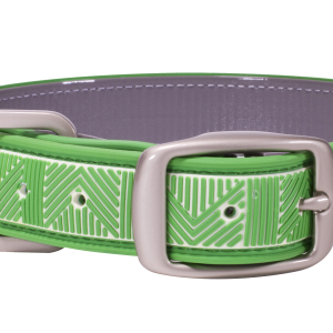 Dog collar PNG