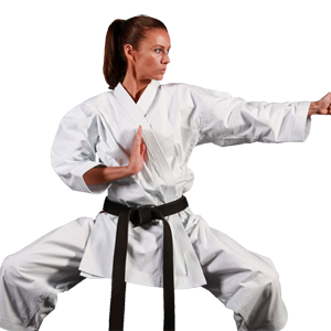 Karate PNG