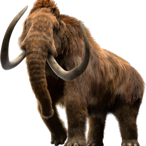 Mammoth PNG