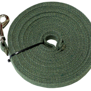 Leash PNG