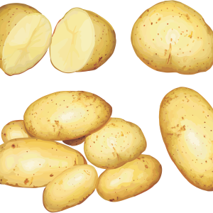 Potatoes PNG pictures