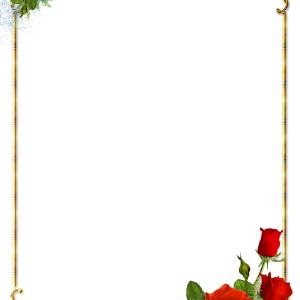 Floral frame PNG