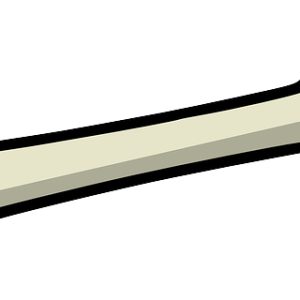 Bone PNG