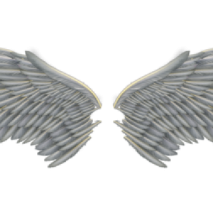 Wings PNG