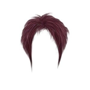 Women hair PNG image