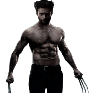 Wolverine PNG