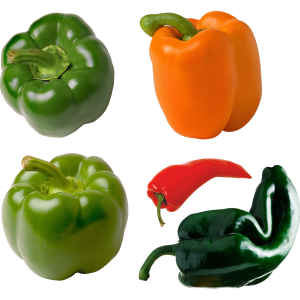 Pepper PNG image