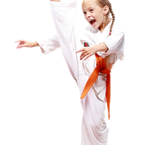 Karate PNG