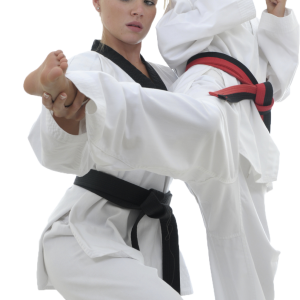 Karate PNG