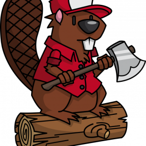 Beaver PNG