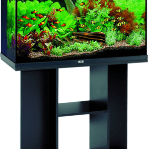 Aquarium PNG