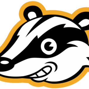 Badger PNG