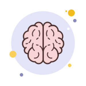 Brain PNG