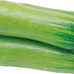 marrow PNG
