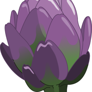 Artichoke PNG