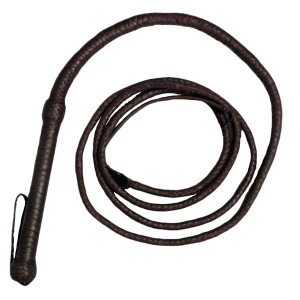 Whip PNG