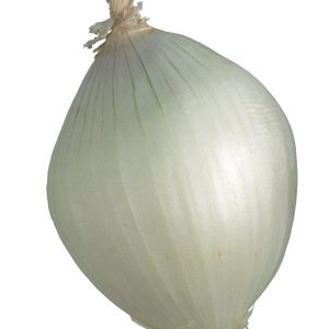 Onion PNG