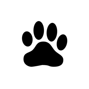 Paw PNG