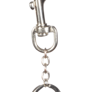 Keychain PNG