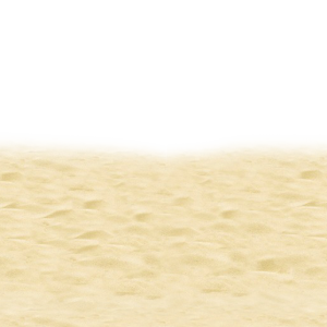 Beach PNG