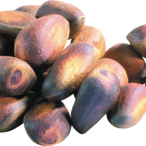 Pine nuts PNG