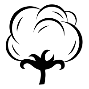Cotton PNG