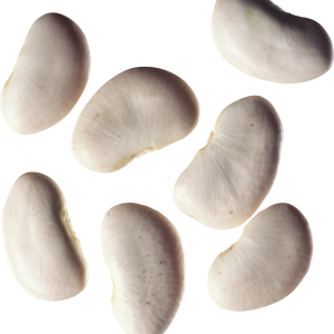 Kidney beans PNG