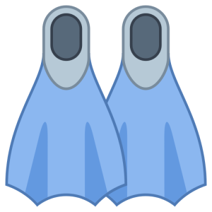 Flippers PNG