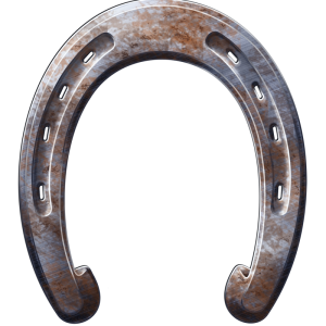 Horseshoe PNG