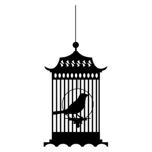Cage bird PNG