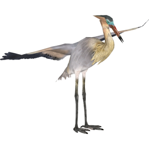 Heron PNG