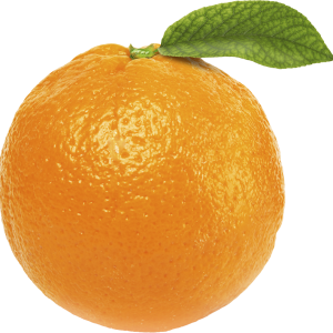 Orange PNG image, free download