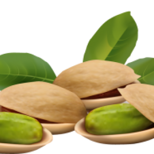 Pistachios PNG