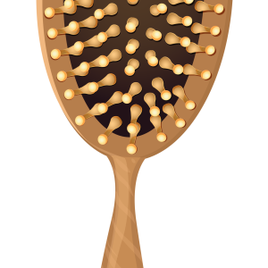 Hairbrush PNG