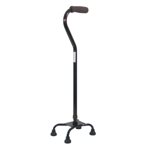 Walking stick PNG