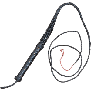 Whip PNG