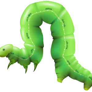 Caterpillar PNG