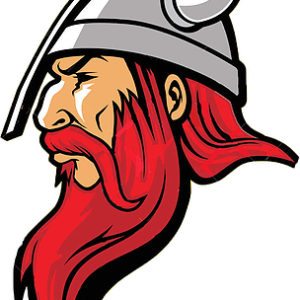 Viking logo PNG